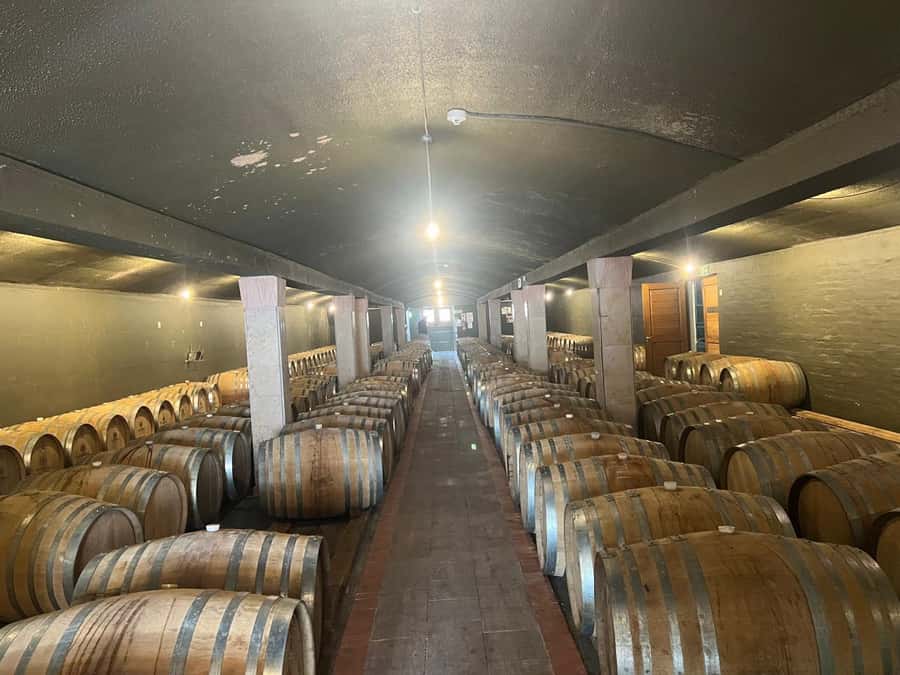 Cape Winelands Experience: Paarl, Stellenbosch & Franschhoek - Cape Winelands in One Day, and How the Route Works