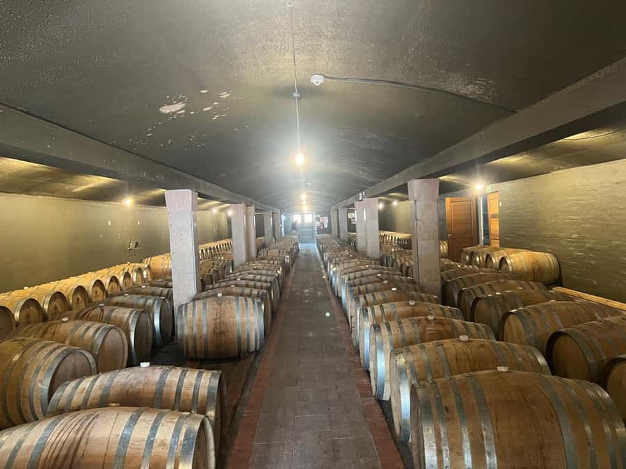 Cape Winelands Experience: Paarl, Stellenbosch & Franschhoek - Paarl and Fairview Wine Estate: Cheese, Wine, and a Great Starter