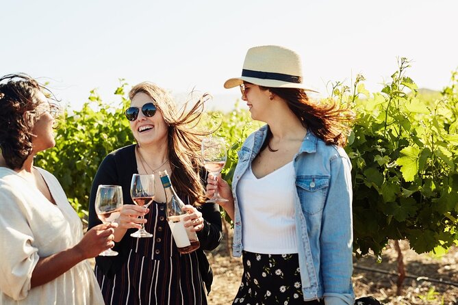 Cape Winelands Explore Full Day Tour with Private Transfer - Private Cape Winelands logistics that actually feel relaxing