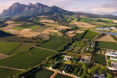 Cape Winelands Explore Full Day Tour with Private Transfer