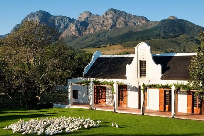 Cape Winelands Explore Full Day Tour with Private Transfer - What to do to make the day smoother (and tastier)