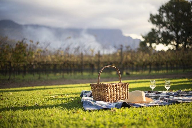 Cape Winelands Explore Full Day Tour with Private Transfer - Who this private Cape Winelands tour suits best