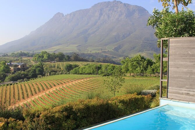 Cape Winelands Private Tour to Stellenbosch and Franschhoek - Key things that make this Cape Winelands private tour tick