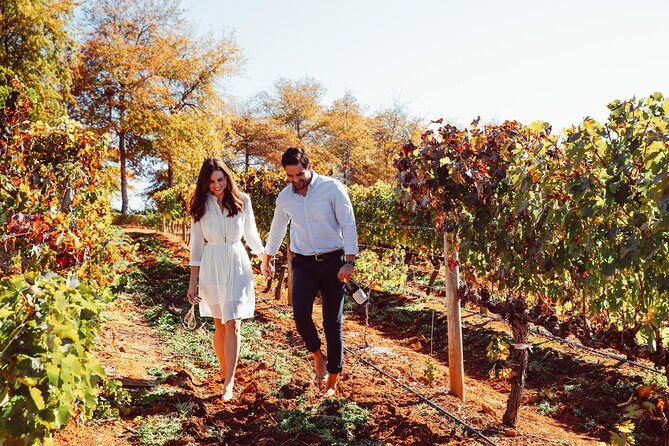 Cape Winelands Private Tour to Stellenbosch and Franschhoek - How the 9-hour plan actually flows, and what five tastings means