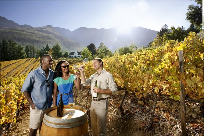 Cape Winelands shared day tour from Cape Town to Stellenbosch and Franschhoek - Franschhoek, Huguenot stories, and an easy lunch decision