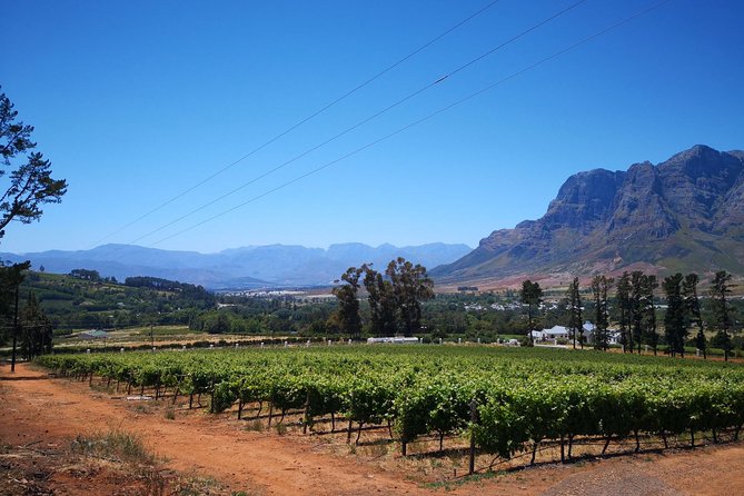 Cape Winelands Stellenbosch Franschhoek Paarl Tour from Cape Town - Franschhoek, Hell’s Hoogte, and the wine-estate tasting break