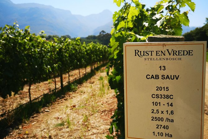 Cape Winelands Stellenbosch Franschhoek Paarl Tour from Cape Town - Guides like Tanya, Ivan, Jonathan, Fanny, and Shireen, and what to listen for
