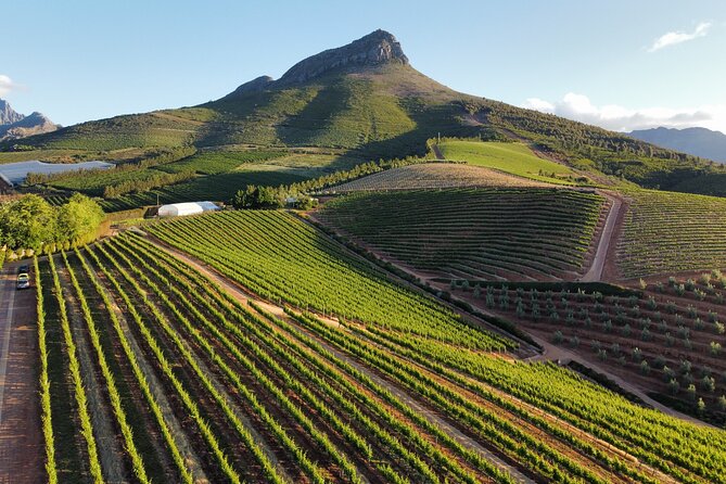Cape Winelands Tour - Key takeaways before you book
