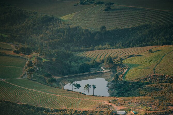 Cape Winelands Tour - Food planning when breakfast and lunch are not included