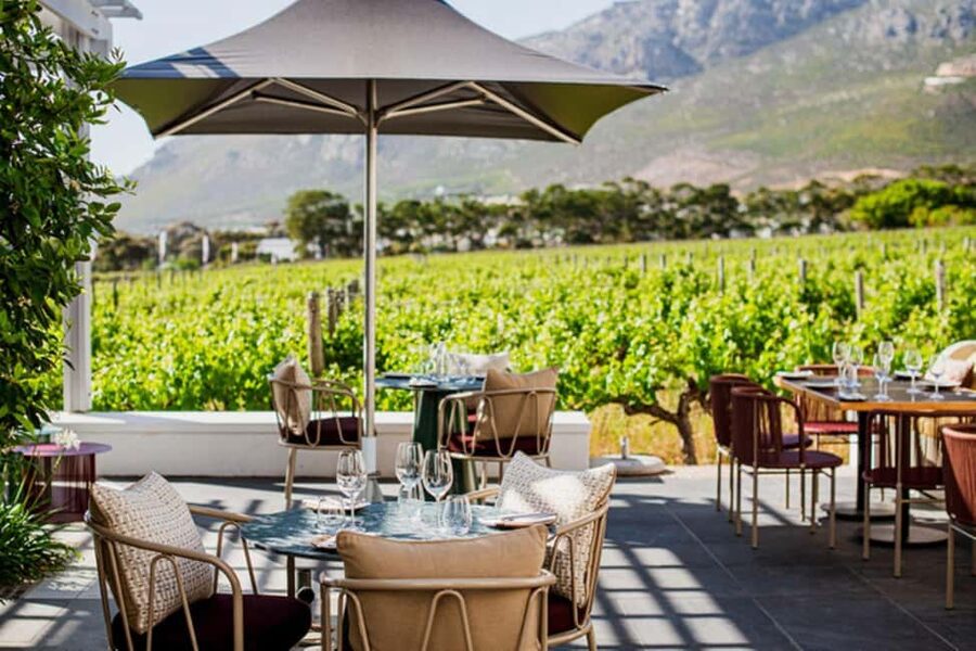 Capetown Private Wine Tour: Manor tour, cellar tour included - How the day moves, hotel pickup to tastings