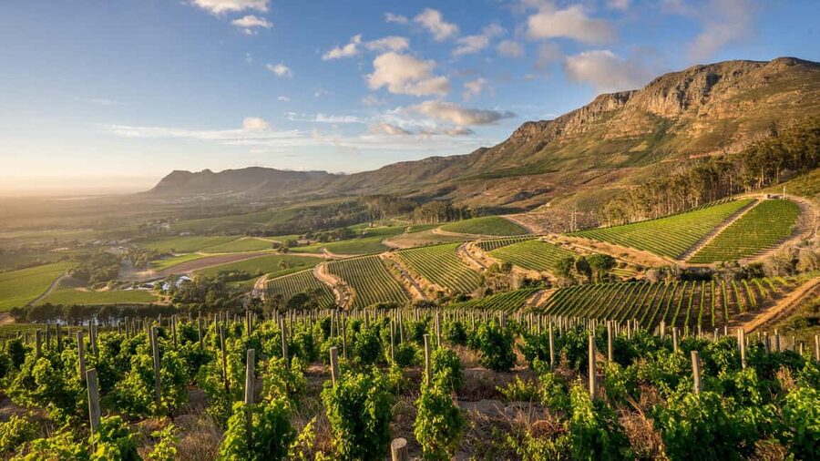 Capetown Private Wine Tour: Manor tour, cellar tour included - FAQ