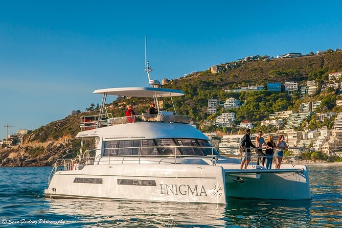 Catamaran Cruise and Sushi Experience in Cape Town - What You Might See: Dolphins, Whales, Penguins, and Seals