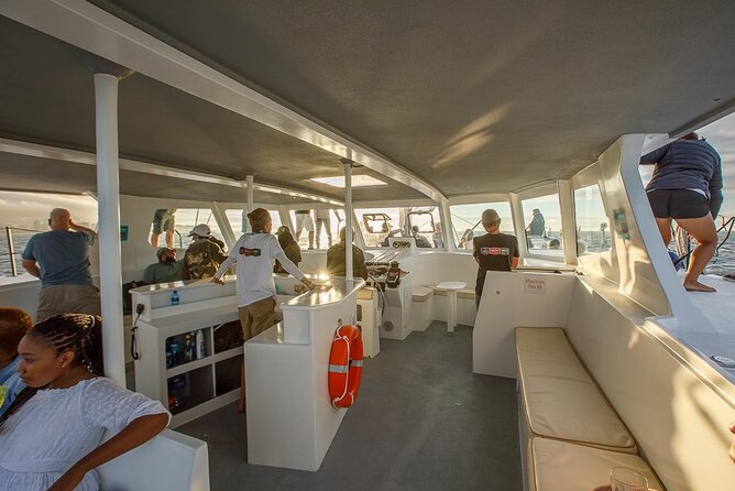 Catamaran Sunset Champagne Cruise Cape Town - Wildlife chances: dolphins, whales, and penguins