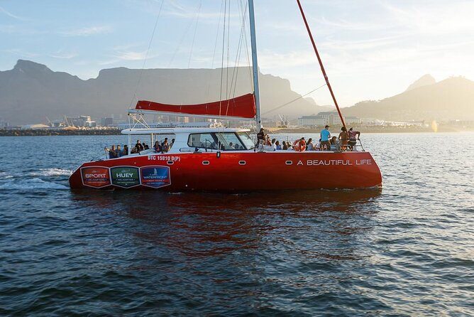 Catamaran Sunset Champagne Cruise Cape Town - Where the catamaran departs at V&A Waterfront (and why it matters)