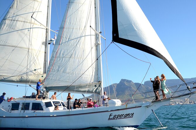 Champagne Cruise (Pre-Sunset) from Cape Town - The cruise loop: V&A Waterfront to coastline views and back