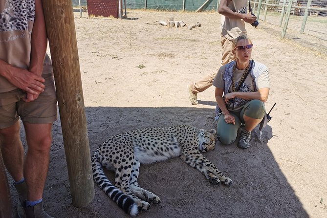 Cheetah Outreach Tour Somerset West, Gordon's Bay and Strand Beaches - Who this tour fits best, and who might want to skip