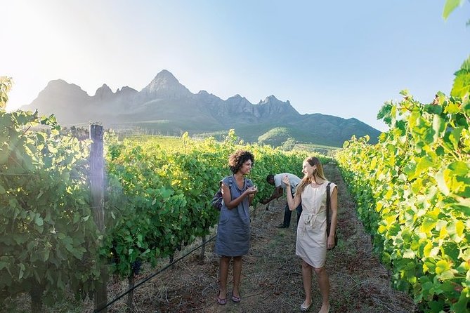 City Sightseeing Full Day Tour with Stellenbosch and Franschhoek Wineries - The Winelands drive: views, pacing, and why this tour works as a full day