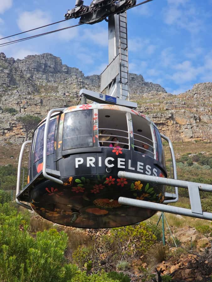 City Tour: Table Mountain, Kirstenbosch & Wine - Pickup, timing, and how the day flows in a mini bus