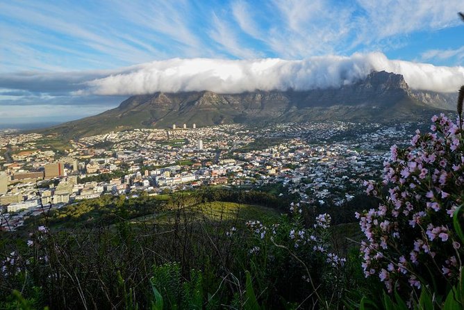 City Tours - Why this 9-hour Cape Town orientation tour is such a good first day