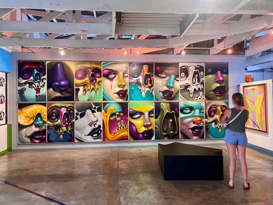 Colours of Johannesburg: A Graffiti & Street Art Tour - Timing, transport between neighborhoods, and how to pace yourself