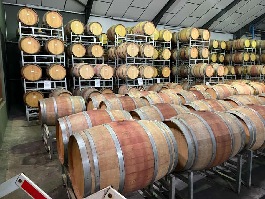 Constantia Half day Wine Tasting tour - Who This Tour Suits Best (And Who Should Skip It)