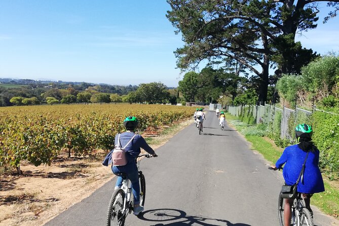 Constantia Hidden Gem Cycle Half Day - Private Tour - The Groot Constantia start sets the tone for the whole ride