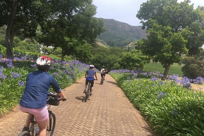 Constantia Hidden Gem Cycle Half Day - Private Tour - Cycling through Constantia: pretty roads, real hills, and good pacing