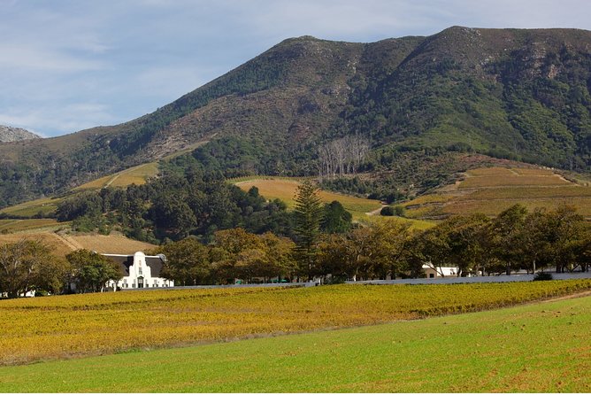 Constantia Hidden Gem Cycle Half Day - Private Tour - Who this tour suits best, and who should think twice