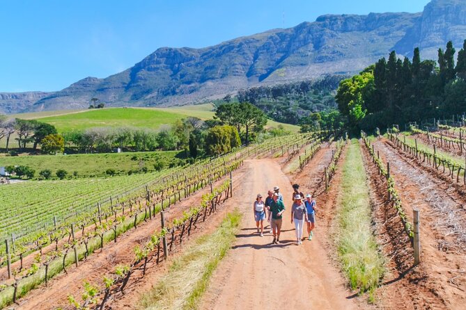 Constantia Wine Walk Storytelling Vineyard Tour with Lunch - Key things to know before you go