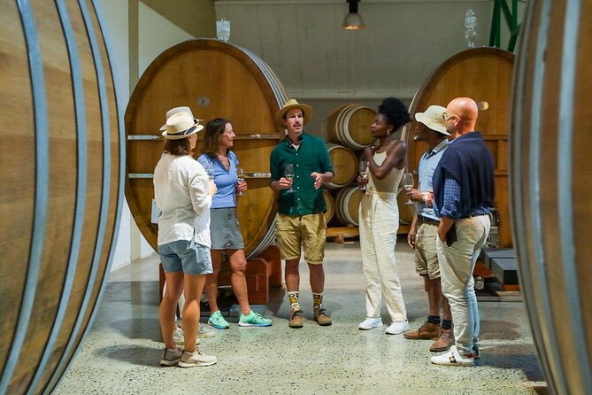Constantia Wine Walk Storytelling Vineyard Tour with Lunch - The 8:30am start at Jonkershuis Constantia, and why early matters