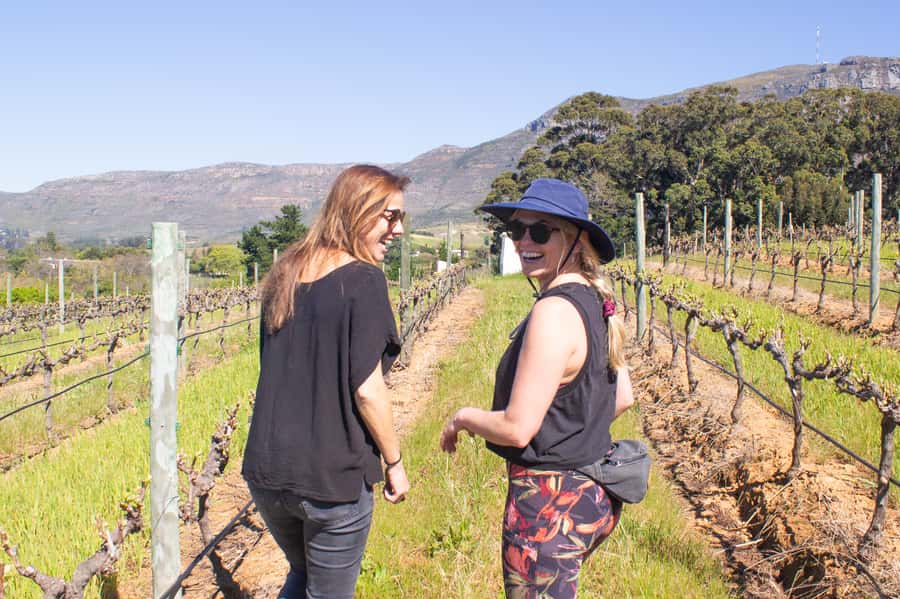 Constantia: Wine Walk with Lunch and Enchanting Stories - Should you book it?