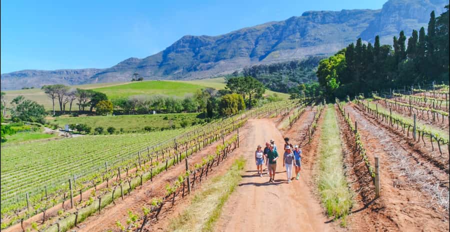 Constantia: Wine Walk with Lunch and Enchanting Stories - Constantia on foot, not on a shuttle