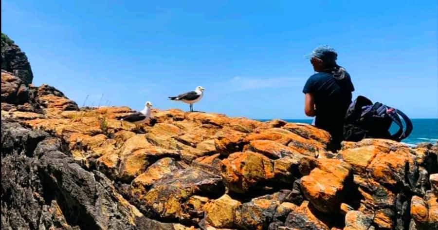 Costal Hiking Sacramento Trail: Port Elizabeth - Key Points That Make This Hike Worth Your Time
