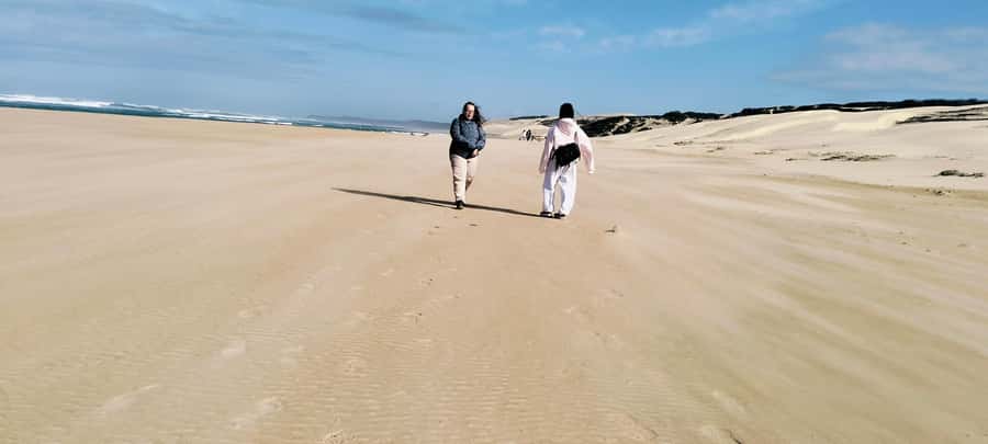 Costal Hiking Sacramento Trail: Port Elizabeth - Sardinia Bay Marine Reserve: Wildlife Spotting Without the Waiting Game