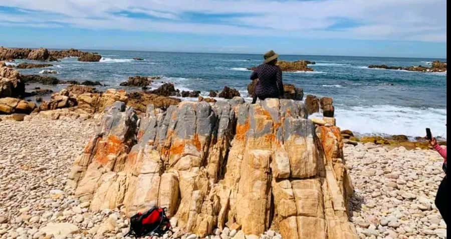 Costal Hiking Sacramento Trail: Port Elizabeth - Fynbos, Seabirds, and Tufa Stromatolites: Small Nature Details With Big Meaning
