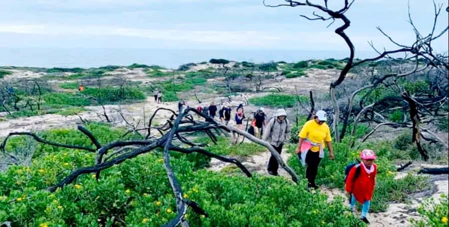 Costal Hiking Sacramento Trail: Port Elizabeth - Pickup and Drop-Off From Port Elizabeth: A Shore Excursion That Does Not Waste Your Time