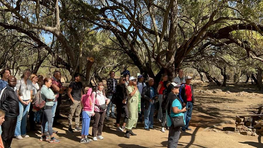 Cradle of Humankind and Lesedi Cultural Village - Guide language and the real-world factor: get what you paid for