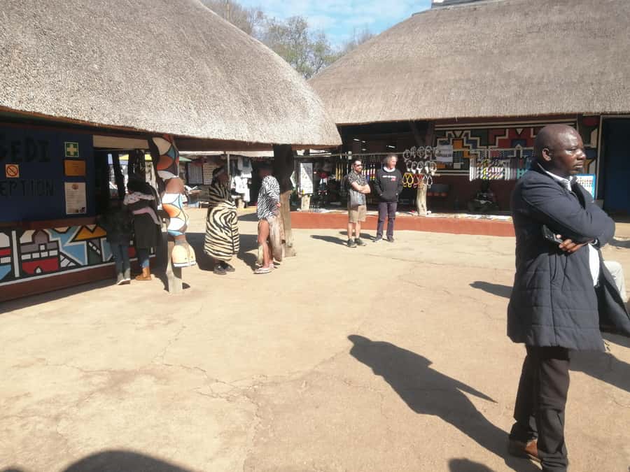 Cradle of Humankind and Lesedi Cultural Village - Should you book this Cradle of Humankind and Lesedi Cultural Village tour?
