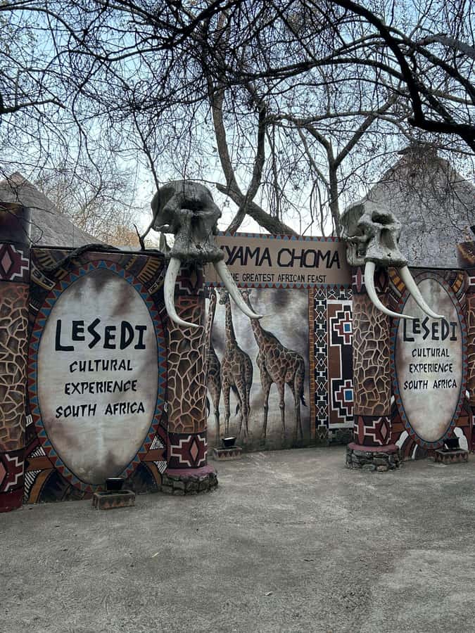 Cradle of Humankind and Lesedi Cultural Village - Cradle of Humankind: Lucy, Taung Child, and a museum-built storyline