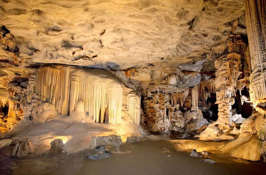 Cradle of Humankind and Sterkfontein Caves Half-Day Tour - Key moments that make this tour work