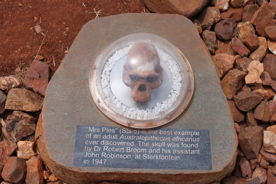 Cradle of Humankind and Sterkfontein Caves Half-Day Tour - Maropeng Visitor Centre: exhibits, Tumulus views, and an underground boat ride