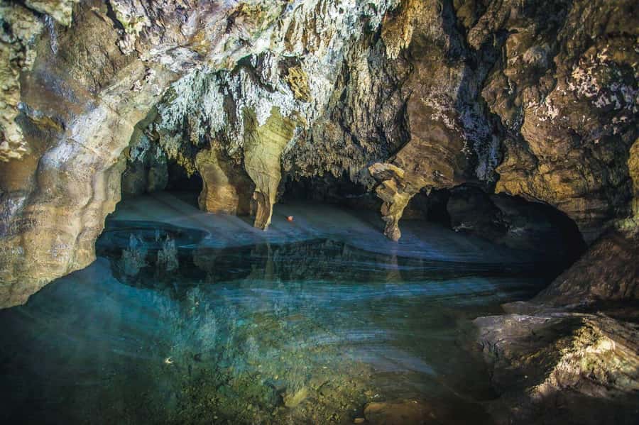 Cradle of Humankind and Sterkfontein Caves Half-Day Tour - The snack and lunch situation, and how to plan your appetite
