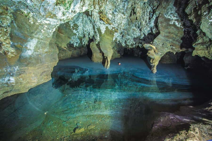 Cradle of Humankind and Sterkfontein Caves Half-Day Tour - Who this tour suits, and who should skip it