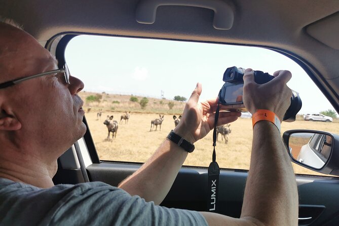 Cradle of Humankind, Caves or Maropeng, Rhino and Lion Park - The Big Value: A Guide Who Knows How to Run the Day