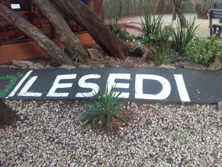 Cradle Of Humankind, Lesedi Cultural Village & Lion's Park - Quick key points for this Cradle, Culture, and Lion day