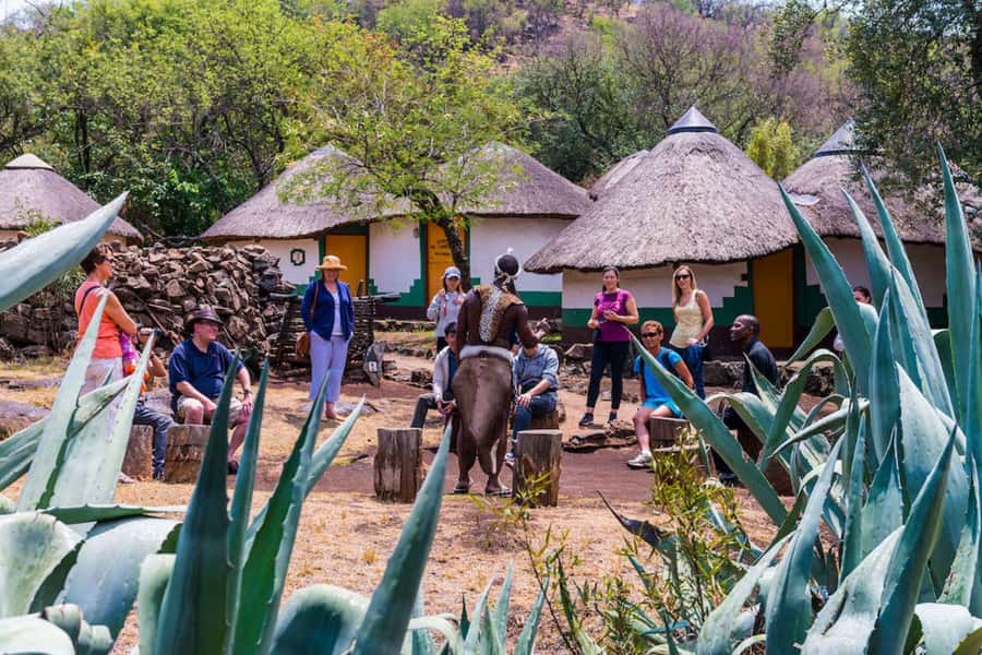 Cradle Of Humankind, Lesedi Cultural Village & Lion's Park - Should you book Cradle of Humankind, Lesedi Cultural Village, and Lion & Safari Park?