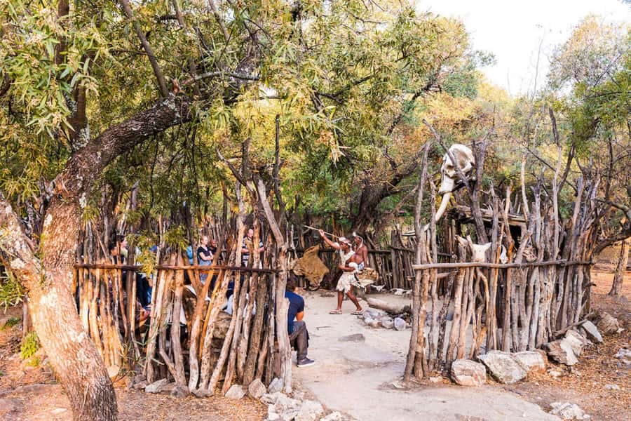 Cradle Of Humankind, Lesedi Cultural Village & Lion's Park - Transportation, language, and group flow from Johannesburg