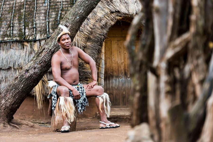 Cradle Of Humankind, Lesedi Cultural Village & Lion's Park - Price and value: is $246 per person worth it?
