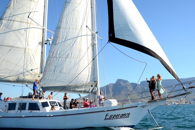 Cruise and Dine Dinner / Cape Town: Sunset Champagne Cruise and 3-Course Dinner - What I’d Do Differently to Make It Even Better