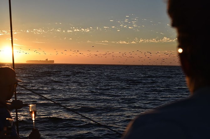 Cruise and Dine Dinner / Cape Town: Sunset Champagne Cruise and 3-Course Dinner - The On-Board Experience: Music, Crew Energy, and Complimentary Sparkling Wine